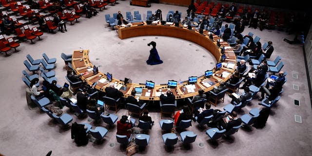 FILE PHOTO: An overview of the United Nations Security Council meeting after the Russian invasion of Ukraine, at United Nations Headquarters in Manhattan, New York City, New York, US February 28, 2022. 