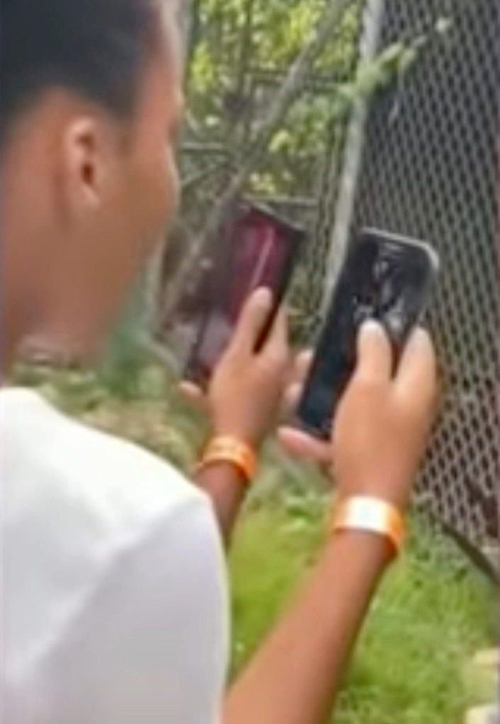 Visitors were surprised after a zoo worker's finger was bitten by a lion at the Jamaican Zoo