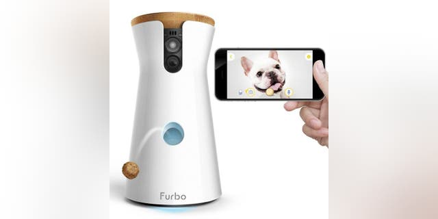 Forbo dog camera.  Furbo's latest pet camera gives you 360-degree views.  In this podcast, I got a glimpse of seven exciting new iOS 16 features and an action photography hack. 