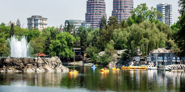 Paddle boats on the lake in the Bosque de Chapultepec Forest Park.
