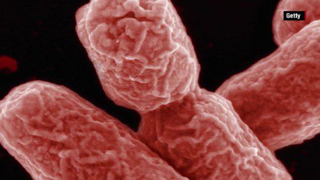 Fast facts on E. coli outbreaks