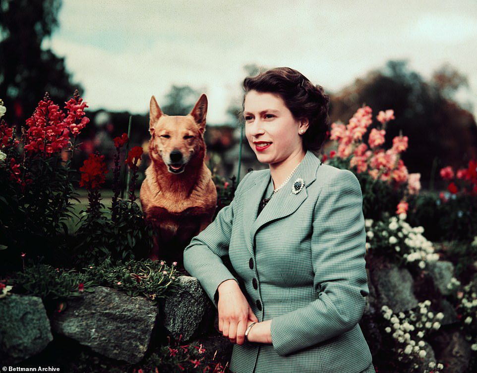 Just a few weeks ago, the Queen was seen walking her dogs in gardens - something she's been doing for decades