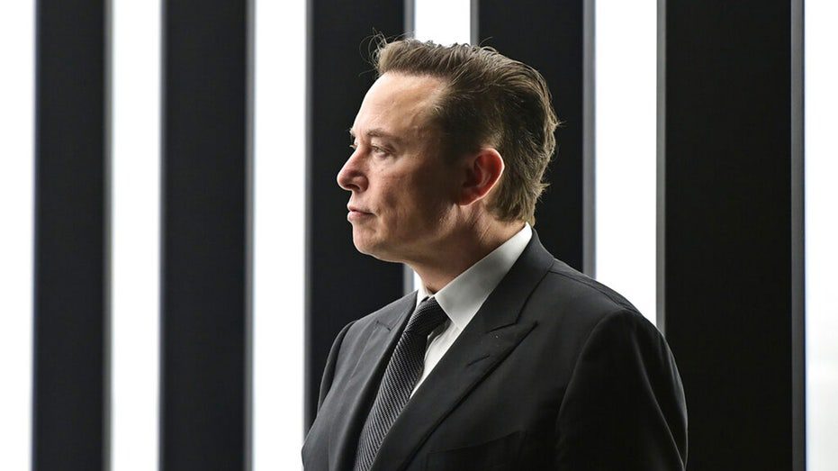 Tesla CEO Elon Musk poses at the opening of the company's factory in Berlin.