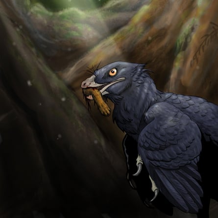 An artist's impression of the small, feathered dinosaur known as Microraptor, issued by Queen Mary University of London.
